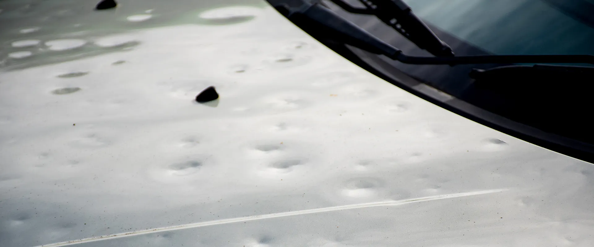 Hail Damage near Columbia, TN